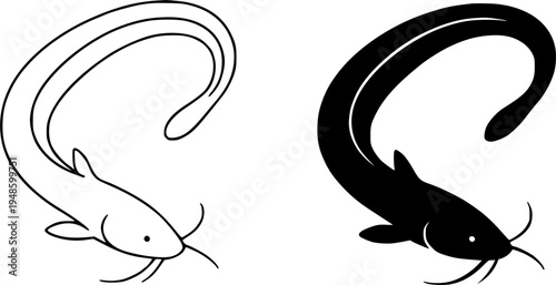 Catfish illustration icon, outline and silhouette, for animal design