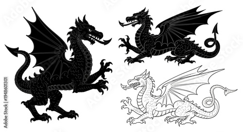 Set of Black and White Dragon Illustrations - Mythical Creatures