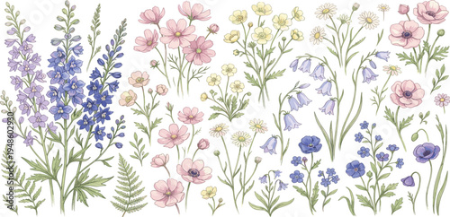 Watercolor collection of spring and summer wildflowers. Botanical illustrations of bellflowers, delphiniums, and poppies, capturing the fresh essence of a blooming garden meadow