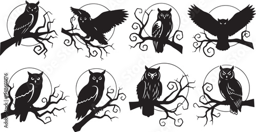 Collection of owl silhouettes on tree branches in moonlight