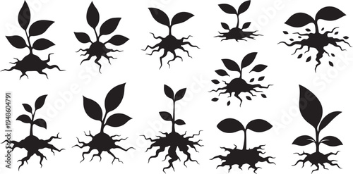 Black silhouettes of growing plants with roots and leaves