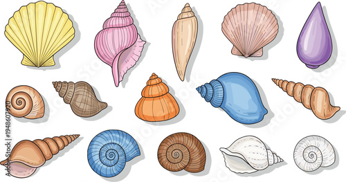 Colorful seashell collection illustration, ocean shell set, marine beach elements, sea life decorative shells vector pack design