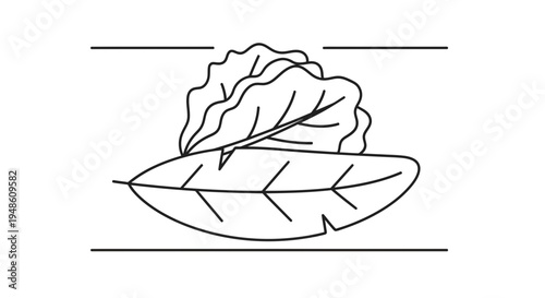 Fresh Lettuce Leaf and Salad Greens - Healthy Food Ingredient, Organic Produce