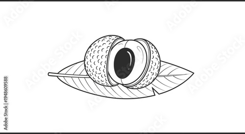 Fresh Lychee Fruit Cut in Half Showing Seed and Pulp on a Leaf, Black and White Illustration