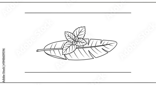 Fresh Mint Leaves on a Banana Leaf, Hand-Drawn Line Art Illustration