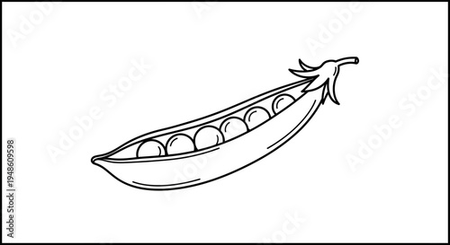 Fresh Pea Pod with Seeds, Hand-Drawn Style, Healthy Food Illustration