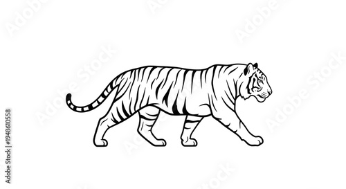 Majestic Tiger Silhouette Walking Side View, Black and White Line Art