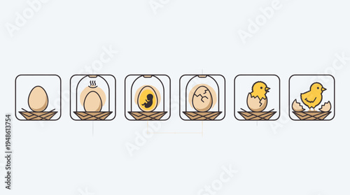 Egg cracking stages icon set showing development process from egg to chick