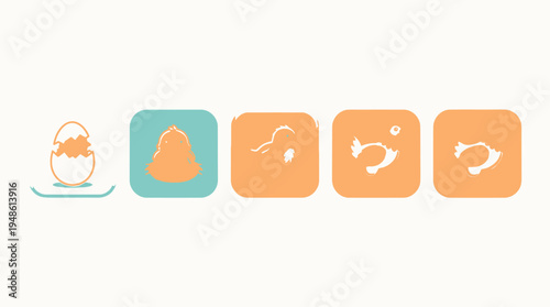 Baby chicken hatches from egg in farm environment slowly emerging