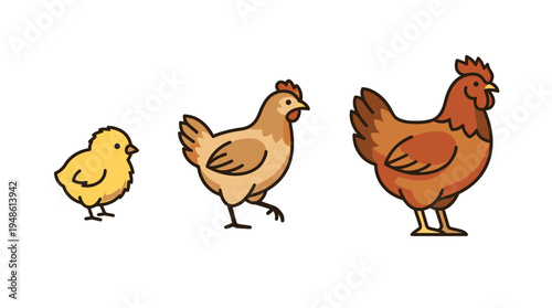 A sequence icon shows a chicken and egg hatching with a chick and hens.