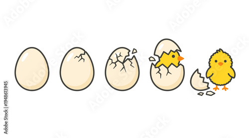 Egg cracking opens to reveal chick hatching transformation sequence