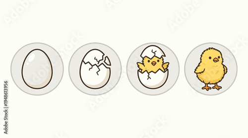 A set of four icons depicting a chick hatching from an egg in sequence