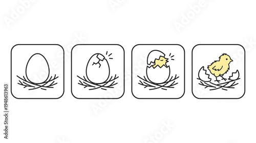 Transformation of a chick from egg to chicken in a nest icon set