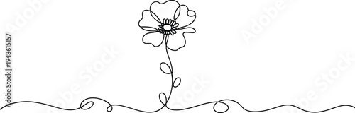 Minimalist continuous line flower drawing elegant botanical art flat vector