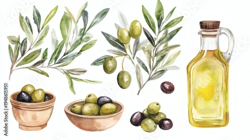Watercolor illustration of olives, olive branches, olive oil bottles and bowls on white background