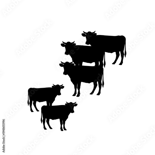 Farm cattle herd silhouettes including cow and calf livestock animals isolated black vector illustration.