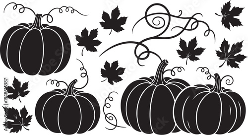 Black and white illustration of pumpkins and autumn leaves