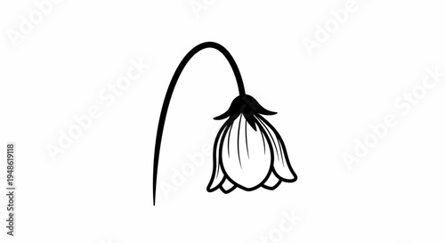 Elegant Black and White Line Art of a Drooping Bell Flower on a White Background