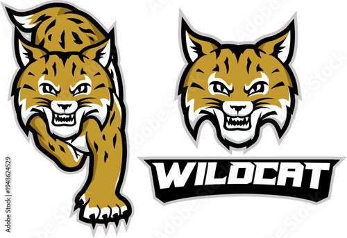 Fierce Wildcat Sports Mascot Logo and Full Body Character Vector