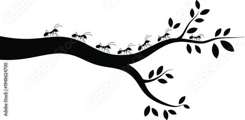 ants walking on tree branch silhouette, ant colony teamwork concept, insect nature scene, forest wildlife illustration, isolated black silhouettes