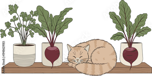 Cozy Cat with Potted Plants and Beets for Home Decor and Nature-Inspired Illustrations