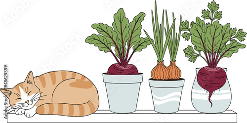 Cute Cat Sleeping with Potted Plants of Onion and Beetroot in a Cozy Indoor Setting