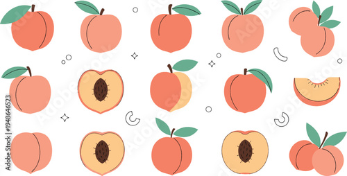 Peach Fruit Vector Collection with Whole and Cut Peaches Fresh Summer Sweet Stone Fruit Illustration Set