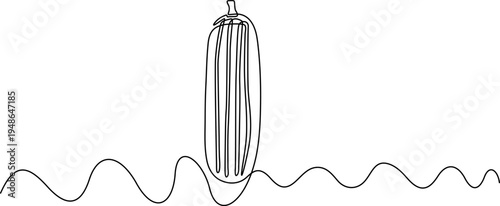 WebMinimalist Line Art Zucchini Illustration