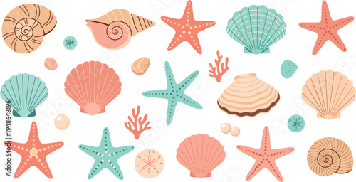 Seashells and starfish collection in pastel colors with ocean shells, sea stars and marine elements illustration set