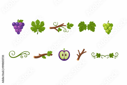 Grape and Vine Icon Set – Clusters, Leaves, and Decorative Branches Flat Design