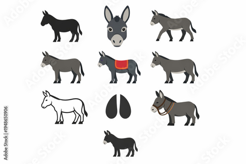 Donkey Icon Set – Silhouettes, Walking, and Riding Donkey Symbols Flat Design