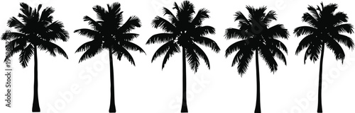 Silhouette of five palm trees on a white background