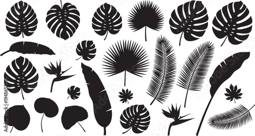 This beautiful collection of diverse tropical leaves and exotic flower silhouettes provides a stylish jungle design on transparent background.