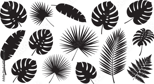 A beautiful diverse collection of stylized black tropical leaf silhouettes showcasing monstera palm and banana leaves on transparent background