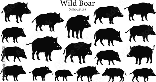 Wild boar silhouettes collection forest pig animals standing walking and grazing poses wildlife mammal illustration set isolated for hunting nature and wildlife design