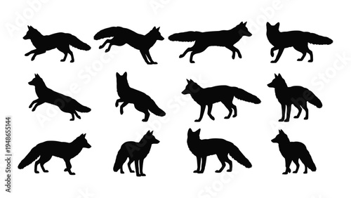 Collection of black fox silhouettes in various poses and angles on white background for design and illustration