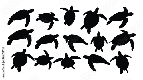 Collection of diverse sea turtle silhouettes in various swimming positions and angles on white background
