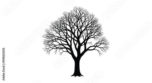 A stark silhouette of a bare tree against a plain white background