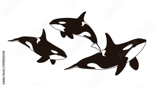 Detailed analysis of orca silhouette image featuring three majestic marine mammals