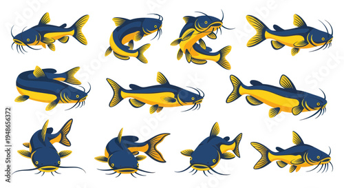 Set of Catfish Illustrations: Various Poses and Actions