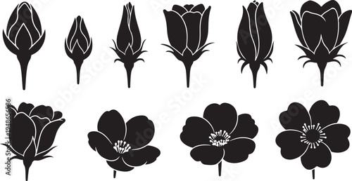 Black and white flower silhouettes on plain background