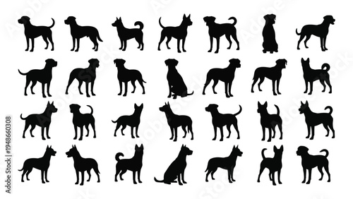 Collection of diverse dog breeds in silhouette form showcasing various body types and postures