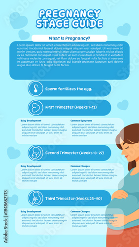 Navigating the Journey of Pregnancy A Comprehensive Educational Guide to Fetal Development and Maternal Changes Across All Trimesters