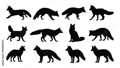 Collection of various wolf silhouettes in different poses and angles on a white background
