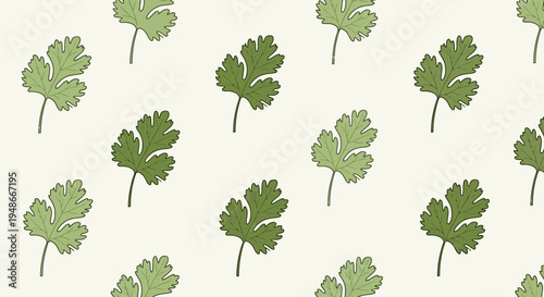 Set of green leaves vector illustrations