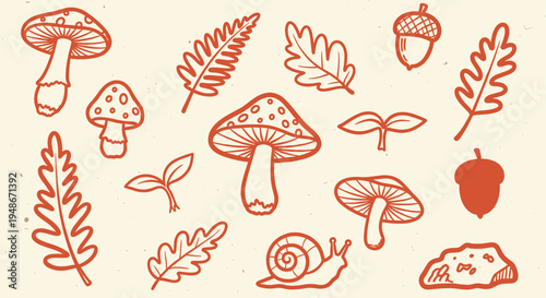 Hand drawn forest elements collection with mushrooms leaves and snail