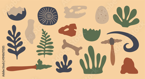 Dinosaur fossils and prehistoric nature elements flat design set