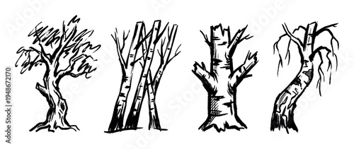 Set of four unique hand-drawn sketchy tree illustrations depicting various bare deciduous trees with visible trunks and branches.
