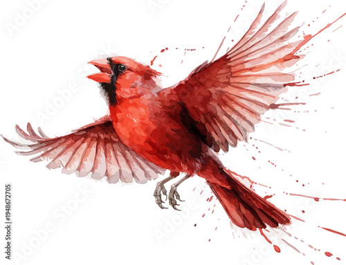 Red Northern Cardinal Watercolor Bird Illustration, Wildlife Clipart Isolated on White