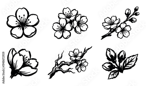 Collection of hand-drawn cherry blossom illustrations, showcasing various floral elements and branches in a brush stroke style.